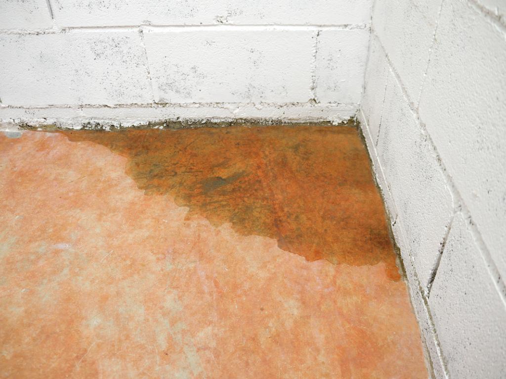 Basement Leak